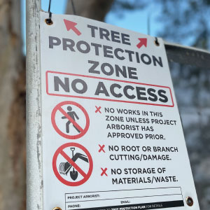 tree protection zone