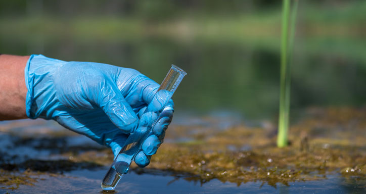 A worker's gloved hand holds a test tube with a water sample against the background of a natural landscape