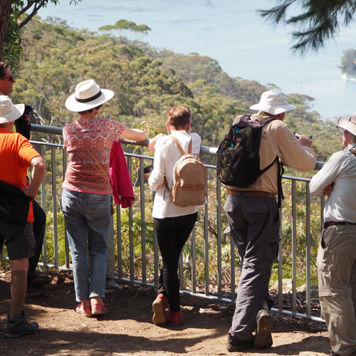 free guided bushwalks