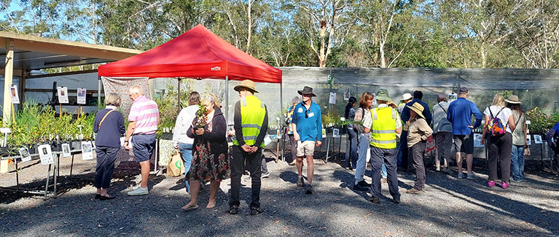 group at nursery with red gazebo