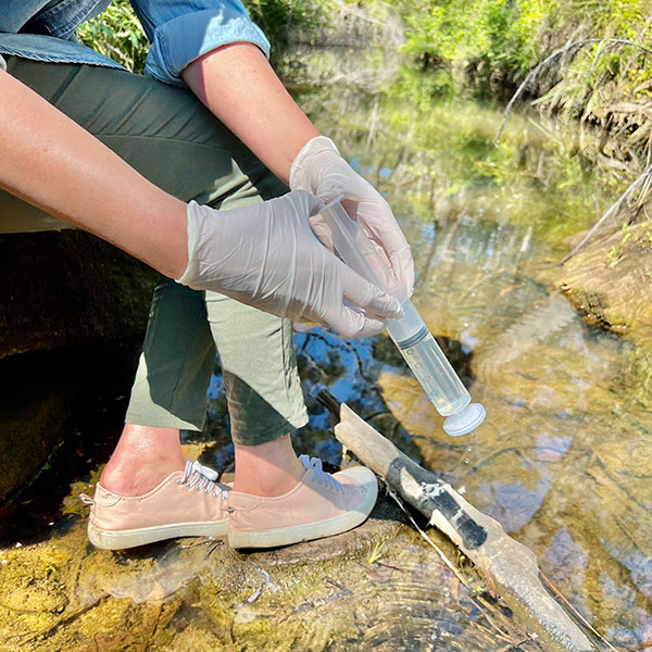 Collecting an eDNA water sample from Colah Creek