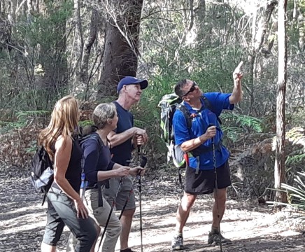 bushwalkers at tree