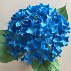 flower craft - hydrangea