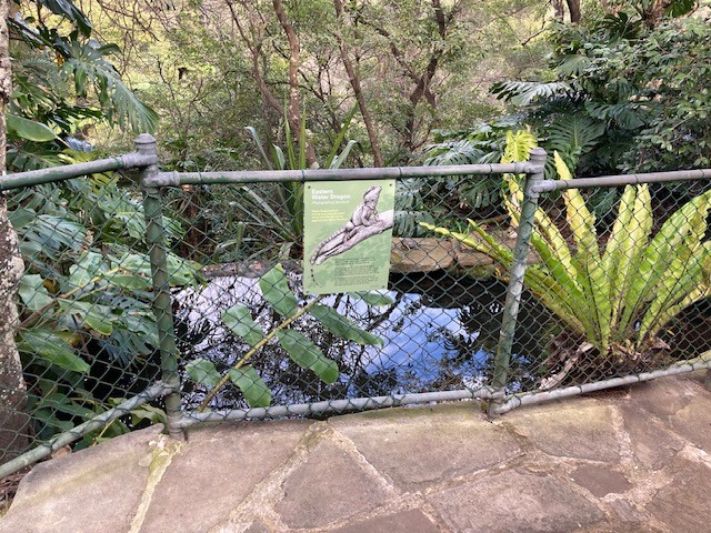 Lizard signage at Lisgar Gardens