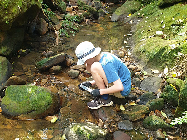 A young citizen scientst collects his eDNA water sample from Jimmy Bancks Creek