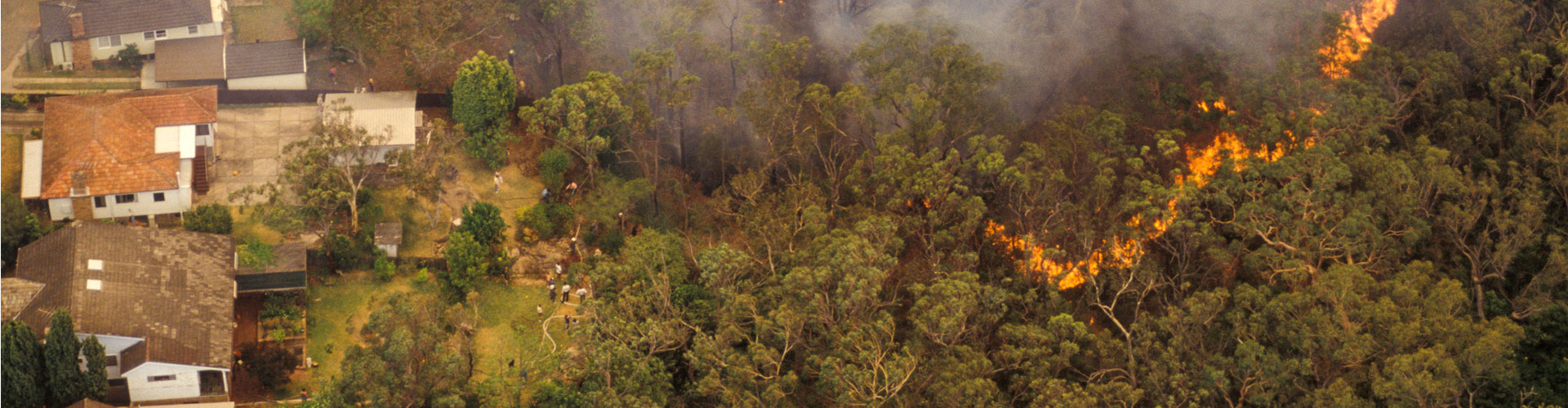 Bushfires-are-becoming-more-frequent-and-severe-800px.jpg