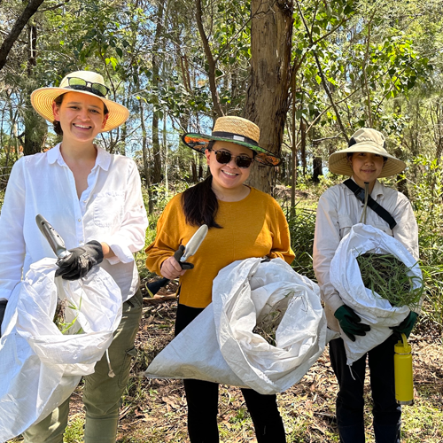 new bub bushcare volunteers