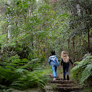 girls running in forest