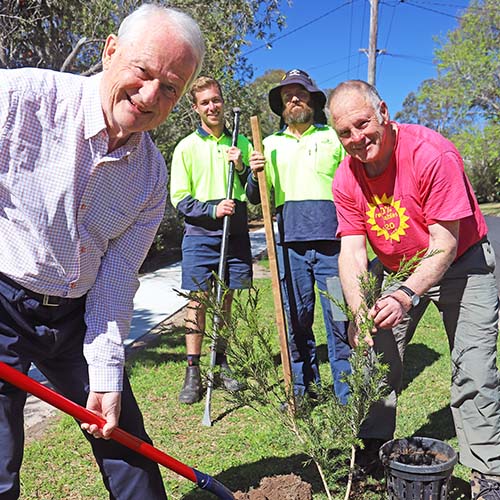 Council halfway to planting 25,000 trees | Hornsby Shire Council