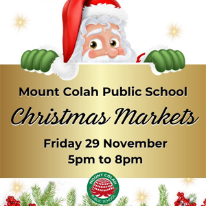 Mt Colah Christmas market