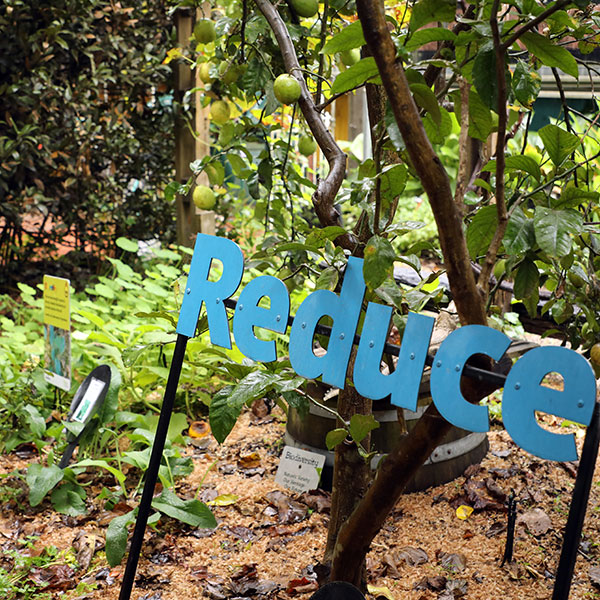 plants in garden with 'reduce' sign