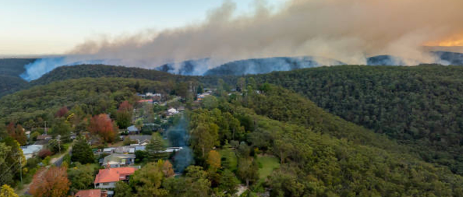 bushfire management